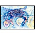 Beyondbasketball Crab Indoor Or Outdoor Mat - 18 x 27 in. BE2549304